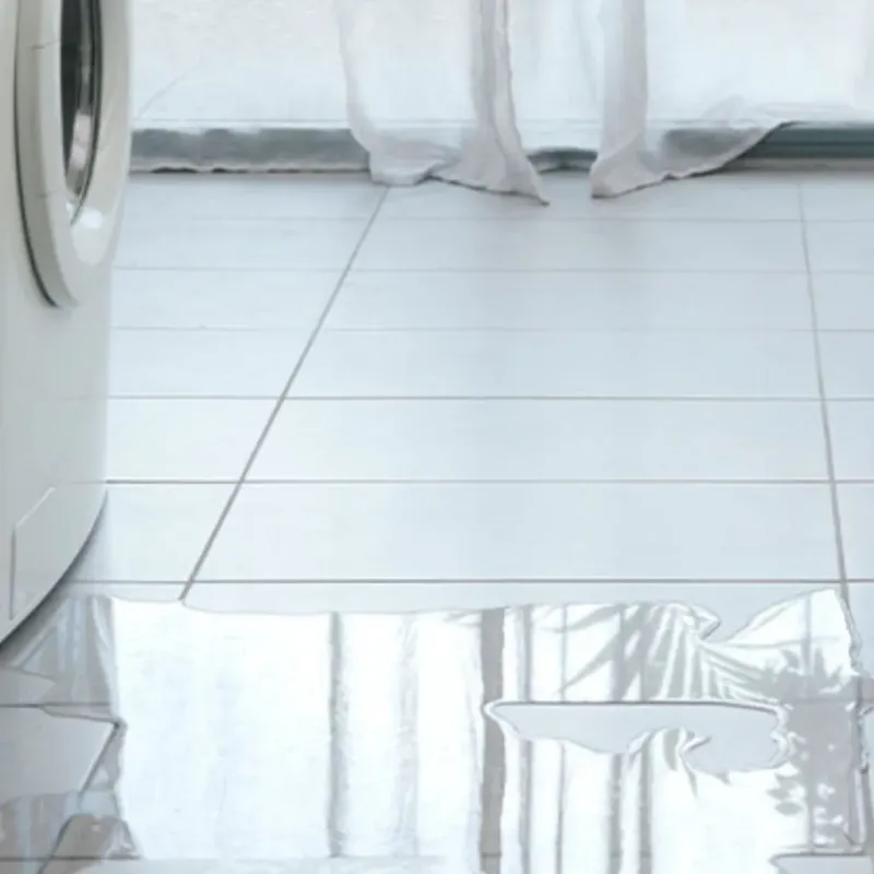 Appliance Leak Cleanup in Caribou County, ID