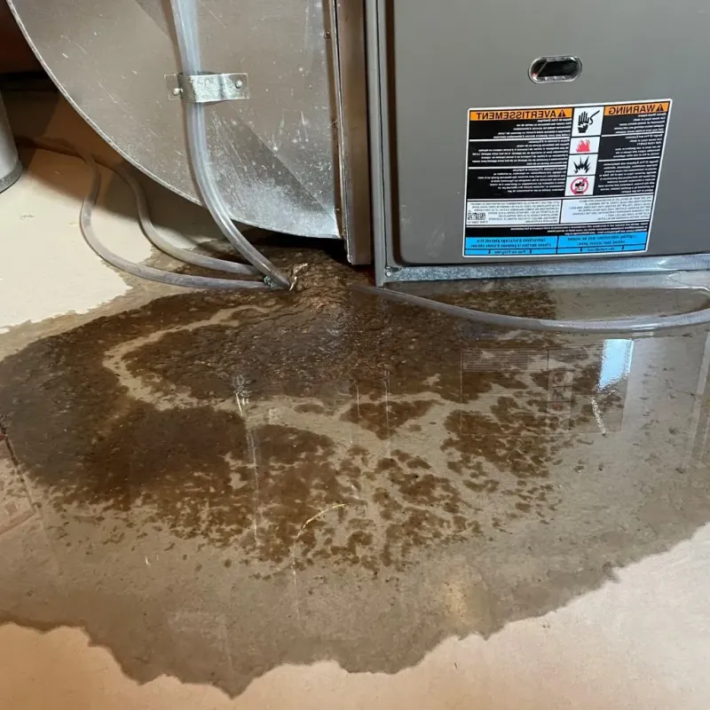 Pipe Burst and Leak Restoration in Caribou County, ID