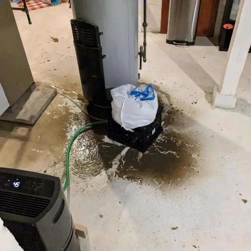Sewage Backup Cleanup Service in Caribou County, ID